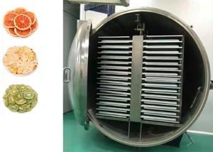 China Electric Heating Food Vacuum Freeze Drying Machine -40C-80C wholesale