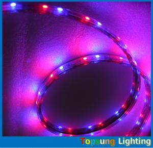 China whole sale 220V 50 meter RGB spool chasing led strip 5050 SMD trade 60LED/m wholesale