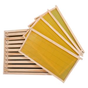 China 20mm Thickness Plastic Frame Complete Bee Hive Kit With Foundation wholesale