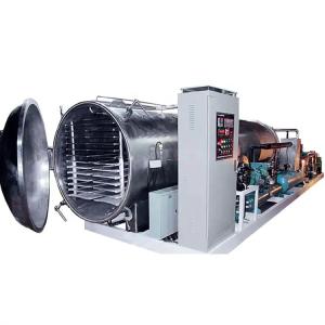 China Vacuum Freeze Fruit And Vegetable Lyophilizer Dried Drying Machine wholesale