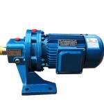 Small Transmission Planetary Cycloid Reducer Gearbox 43:1 Customized