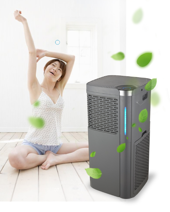 Homefish OEM Luftreiniger UVC Household Auto Large Room Negative Ion Air Purifiers Smoke HEPA Filter Anion HEPA Air Purifier