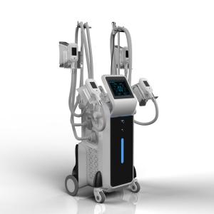 China criolipolise criolipolisis 4 handles cryolipolisis slimming machine fat freeze wholesale