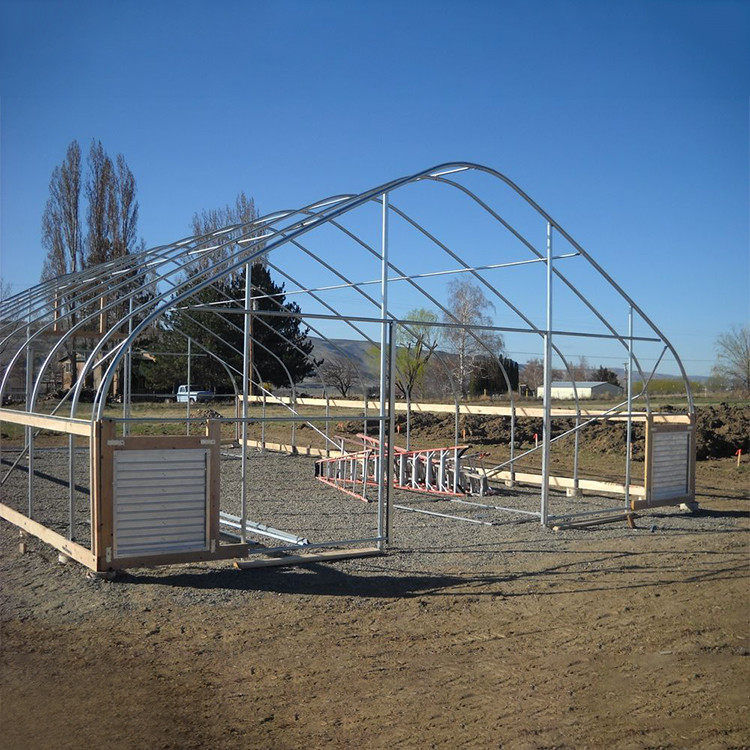 Plants Growing System Greenhouse Steel Pipe Structure Hoop Tunnel Plastic Greenhouse
