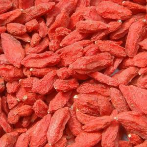 China GMP Manufacturer 100% Natural Bulk Organic Goji wholesale