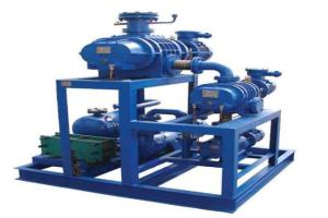 China 3 Phase 380V Sk 2sk 2be Liquid Ring Vacuum Pump wholesale
