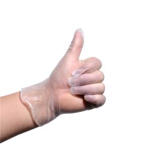 China Transparent Pvc Disposable Gloves , White Latex Vinyl Exam Gloves wholesale