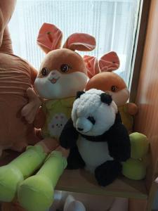 China Cute little rabbit plush toy stuffed toy cartoon animal handicraft gift wholesale