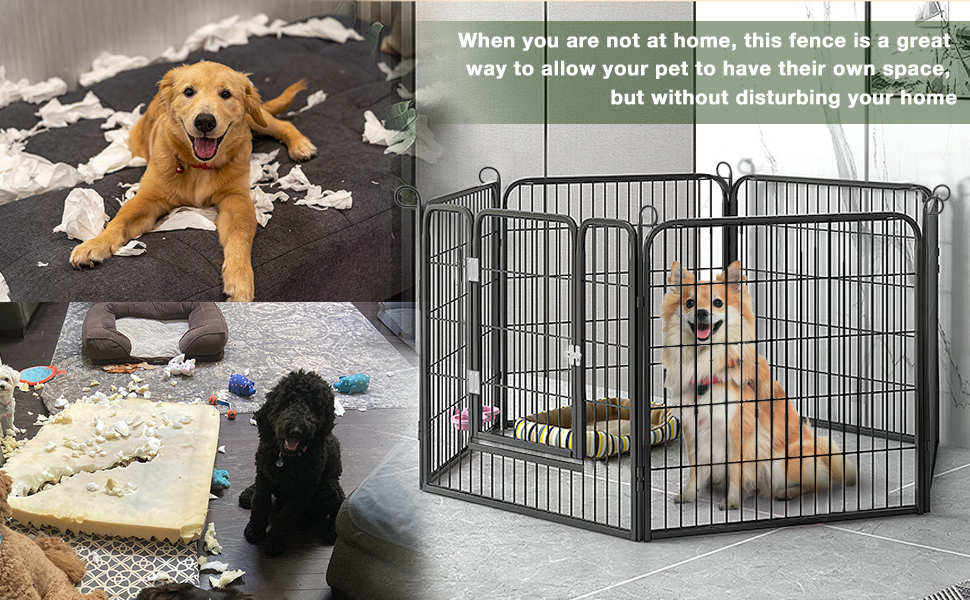 Large Stainless Steel Dog Crate XL 43 inch Indoor Kennel Cages and Playpen for Training Large Dog Outdoor