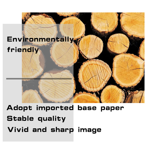 A3 Inkjet Cast Coated Photo Paper High Glossy 160g 297*420mm For Inkjet Printer