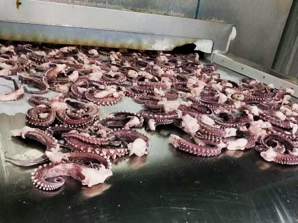 seasoned squid tentacle chemical off white color no additives forzen squid rings with EU standard IQF
