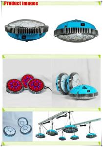 China express free shipping high quality UFO 90W LED Grow Light wholesale