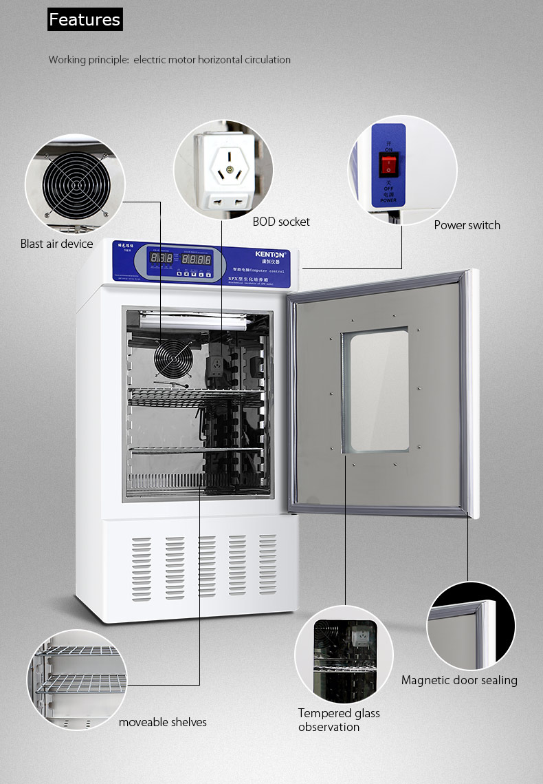 Cooled Thermostatic Incubator Laboratory Bacteriological Incubator With Refrigerated 0-65C