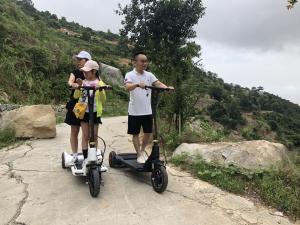 China Mobility 13'' Rear Wheel Dc Motor E Bike Scooter wholesale