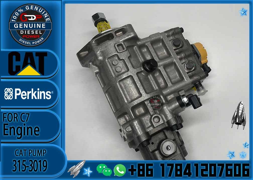 Diesel Engine Diesel Fuel Injection Pump 315-3019 For Caterpillar 320D Excavator 3153019 C6.6