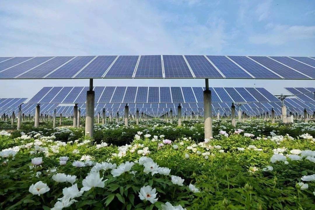 YG DSP Core Single Axis Solar Tracker Adjustable Tracking Angle