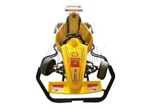 China Amusement Park Mini 360 Degrees Rotating Electric Racing Karting wholesale
