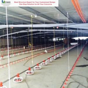 China Material Quality Assurance Steel Structure Poultry House Fire Resistant wholesale
