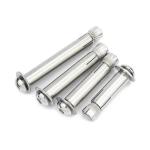 304 316 Polished Screw in Expansion Anchors for Hanging Holding Up