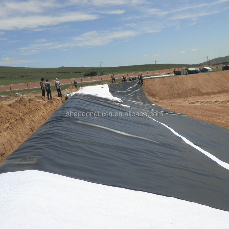 Modern Design HDPE Geomembrane for Landfill Sites Sewage Treatment Plants Fish Ponds