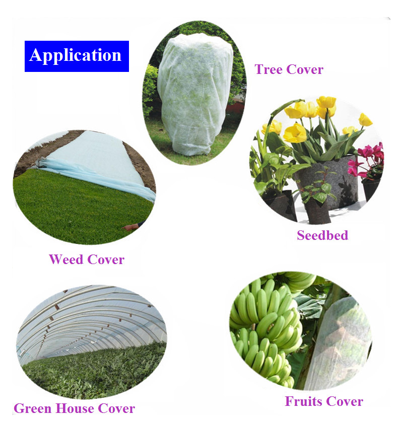 PP Spun bonded & Nonwoven Fabric