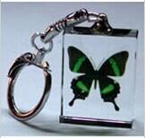 China Crystal Transparent Butterfly Key Chain wholesale