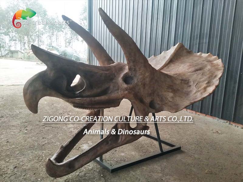 ISO water repellent Dinosaur Skeleton Replica Fossil Life Size Triceratops Skull
