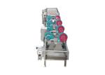 5.1KW Ss304 1500kg/H Fruit Pulp Processing Equipment