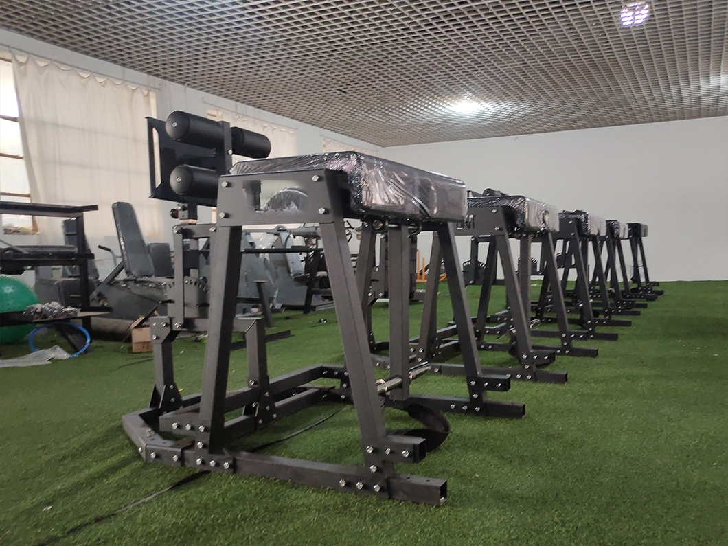 Commercial Gym Back Hyperextension GHD Glute Ham Developer Roman Chair