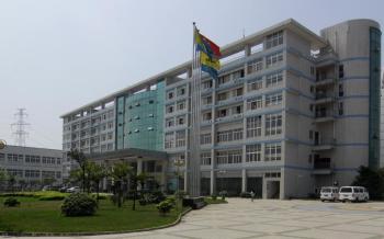 Chongqing Linglong Electronic Co., Ltd.