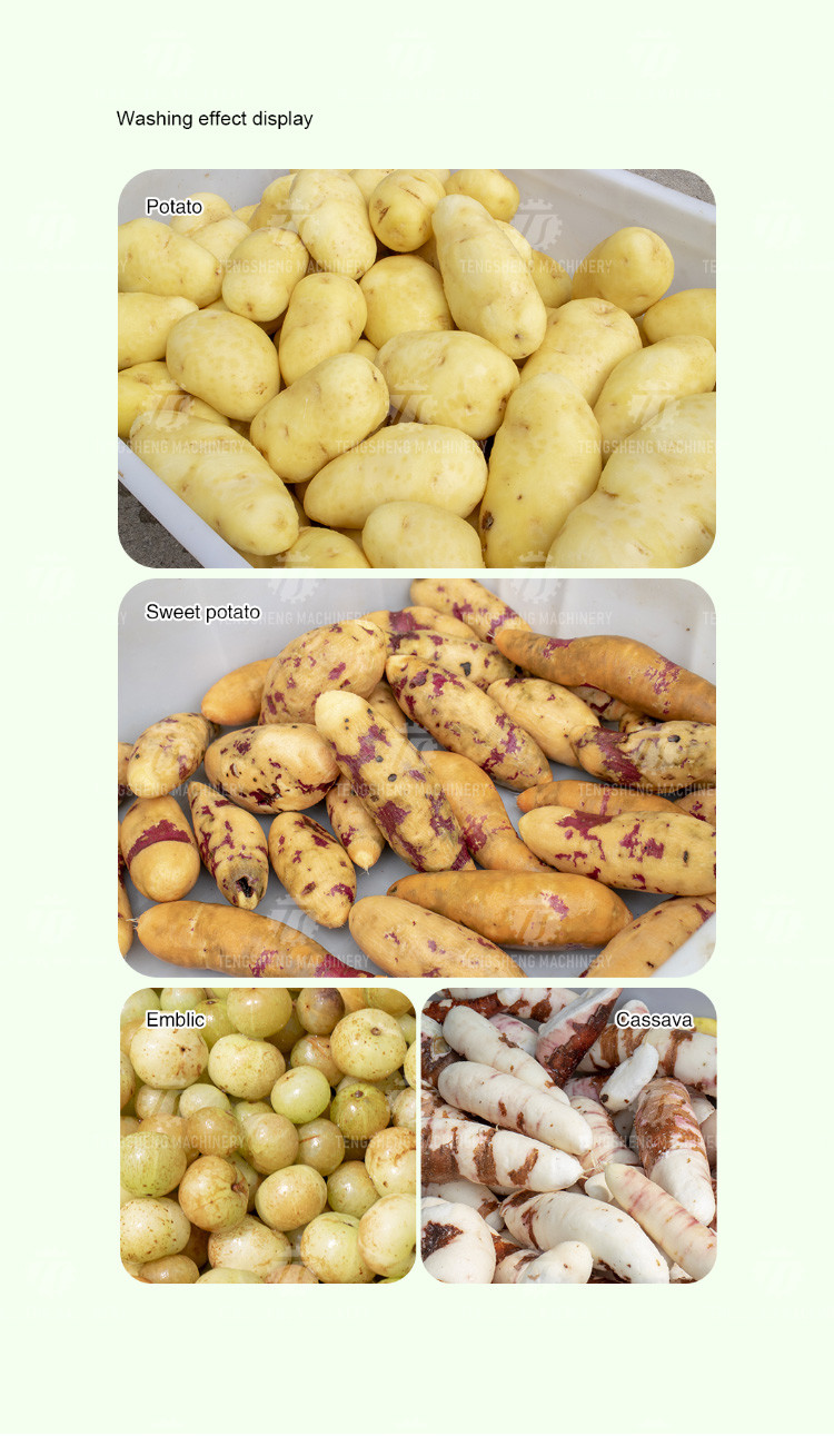 Root Veg 1.5KW Commercial Potato Washer , Kiwifruit Lotus Root Potato Peeler Machine