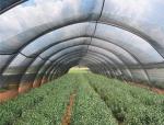 Agriculture Frame Mesh Harvest Bags / Mesh Vegetable Storage Bags