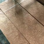 0.6mm Natural Sapeli Sapele Pommele Sliced Wood Veneer for Furniture Plywood