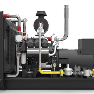 China 1800RPM LPG Propane Generator 260KW Natural Gas Power Generator wholesale