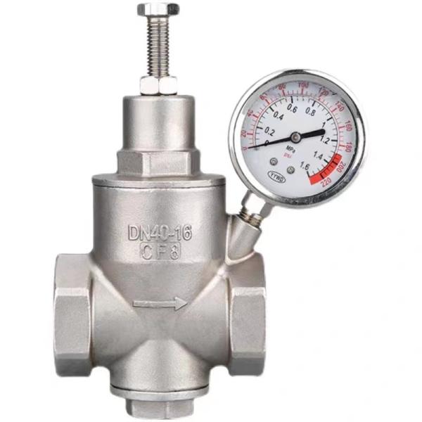 Piston Type Pressure Relief Valve with Internal Thread CF8