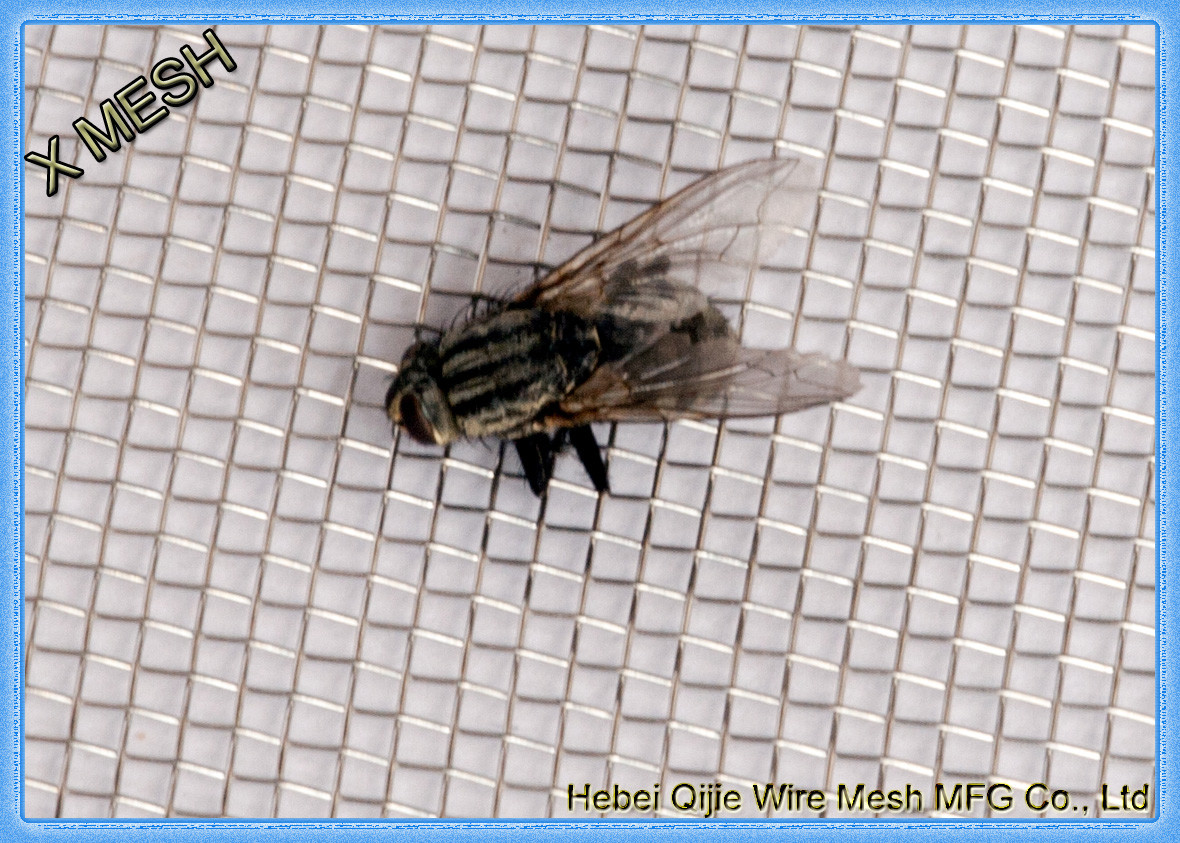 Electro Galvanized Mosquito Screen Roll Insect Mesh Fabric Blue For Windows Screening