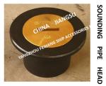 SOUNDING INJECTION HEAD, SOUNDING HEAD, TEMPERATURE MEASURING HEAD, SOUNDING