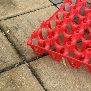 China 30 Slot Red Plastic Egg Cartons Eco Friendly Sustainable Transportation wholesale
