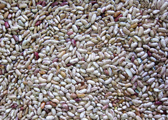 Intelligent RGB Kidney Bean Color Sorter 5 Channels Agriculture Equipment