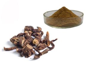China Water Soluble Organic Dandelion Root Herbal Extract Powder wholesale