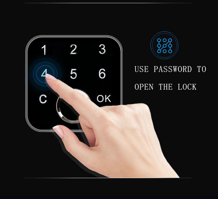 Grow G16 Password Fingerprint Cabinet Lock for Home Office