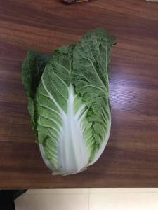 China Healthy Food Fresh Green Cabbage For Large Supermarkets / Farmer'S Markets wholesale
