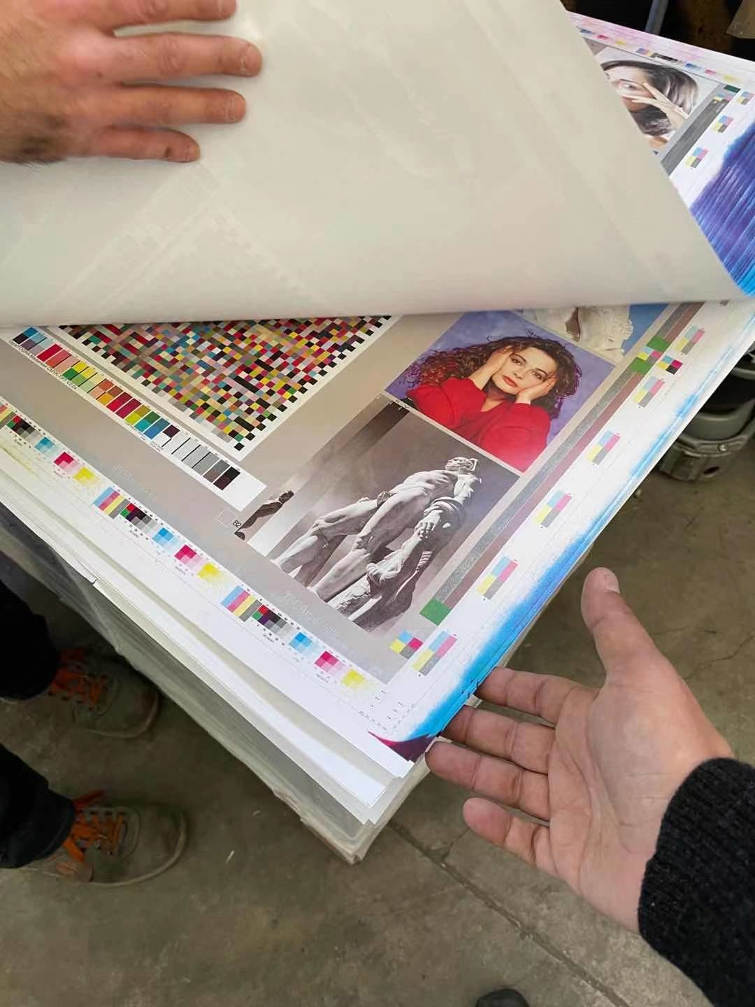 Processless CTP Printing Plate For Book Newspaper 830nm