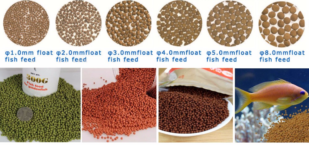 350kg/H Floating Fish Feed Production Line Pet Floating Fish Feed Pellet Machine