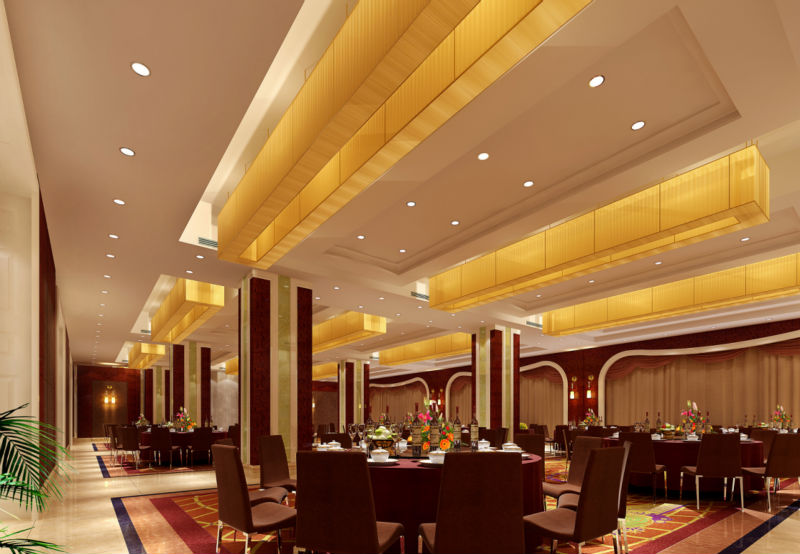 8 inch recessed led down light /LED lamps supply / new LED down light