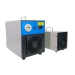 40g/60g Commercial Ozone Generator / Ozone Disinfector Stainless Steel