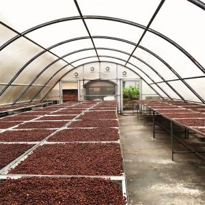 China Fast Delivery 8*26 Meters Single Sun Dryer Greenhouse Food Drying Solar Dry Greenhouse wholesale