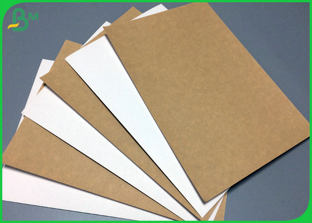 200gram to 365gram 1 side White Kraft Liner coated Board 31inch 35inch 