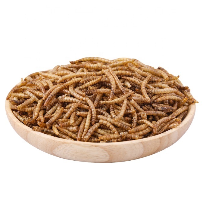 Fat Dried Mealworms for Pet Feeding