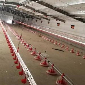 China 22ton 220V Auger Automatic Pan Feeding System Shed wholesale
